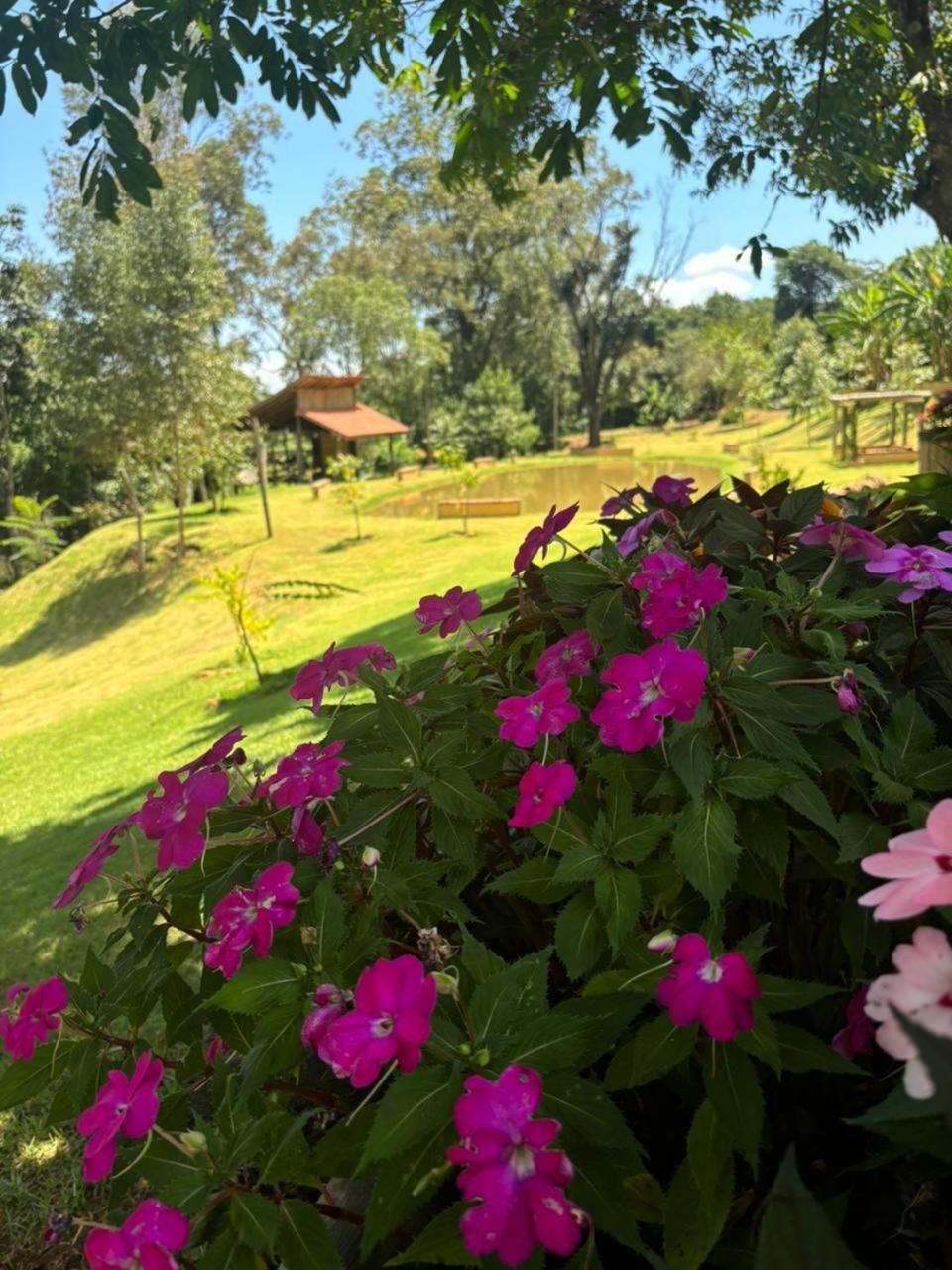 Fazenda Brotas Sp Exterior foto
